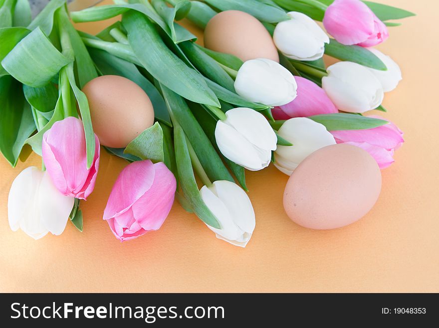 Pink and white tulips and brown eggs on orange background - easter. Pink and white tulips and brown eggs on orange background - easter