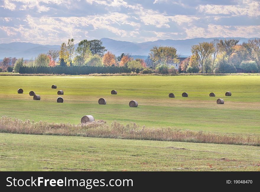 Hay Field In The Fall