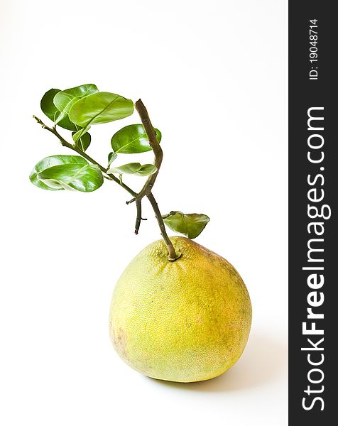 Pomelo Fruit With Leaves