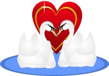 Two Swans In Love, For Life.. Royalty Free Stock Images