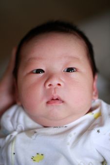 New Born Baby Boy Royalty Free Stock Photography