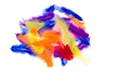 Feathers Stock Photography Feathers Stock Photography