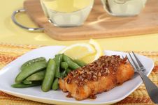 Fish Fillet Meal Stock Image Fish Fillet Meal Stock Image