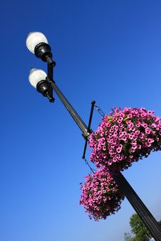Street Lamp And Flower Royalty Free Stock Image Street Lamp And Flower Royalty Free Stock Image