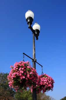 Street Lamp And Flower Royalty Free Stock Image Street Lamp And Flower Royalty Free Stock Image