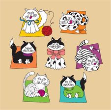 Set Cat Stock Images Set Cat Stock Images