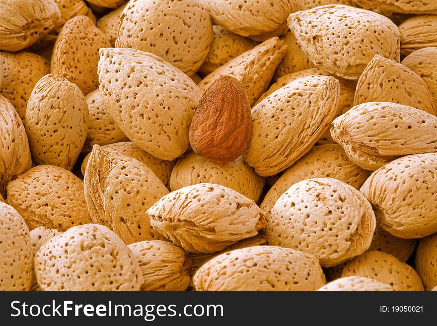 The almond original from south america. The almond original from south america