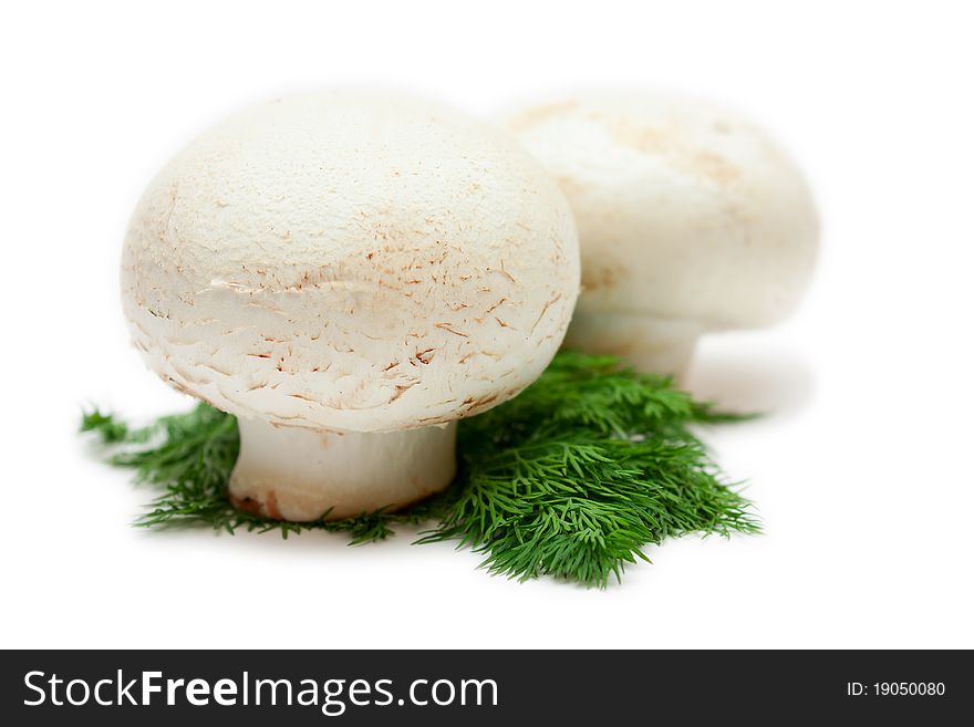 Two champignons on the dill isolated on white