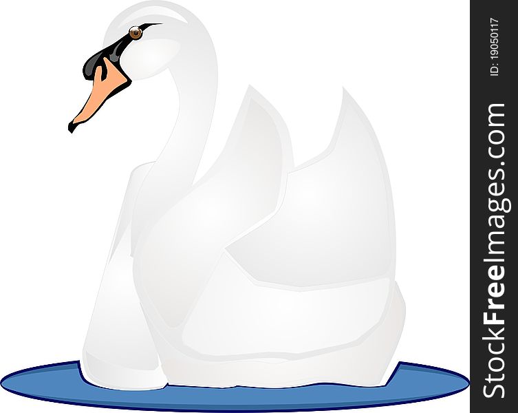Swan gracefully swimming on the water. Swan gracefully swimming on the water..