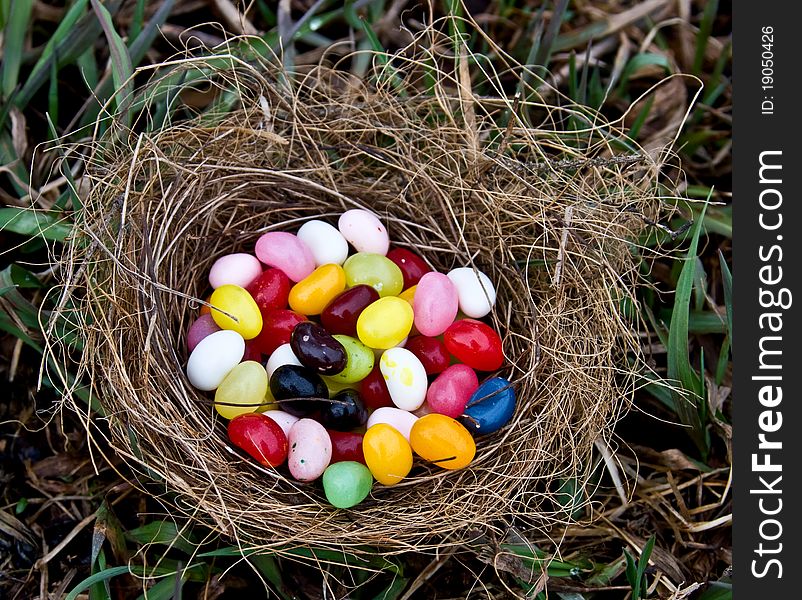 A real birds nest filled with a yummy pile of jellybeans. A real birds nest filled with a yummy pile of jellybeans.