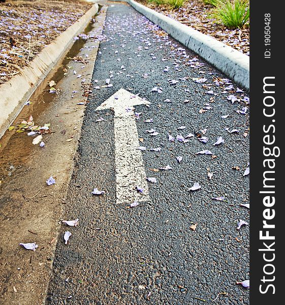 Bicycle lane with arrow  on the road after shower