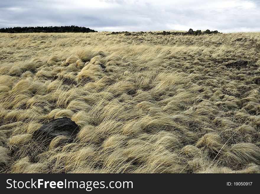 Abandoned piece of land, in the middle of Nowhere. Abandoned piece of land, in the middle of Nowhere