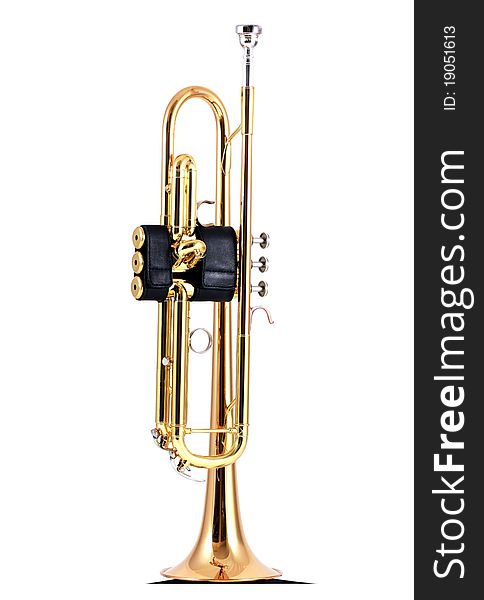 An intermediate level gold plate trumpet. An intermediate level gold plate trumpet.