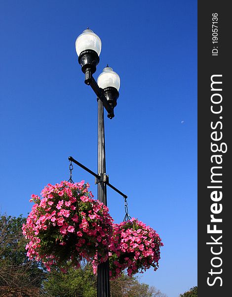 Read lamp,flower and blue sky. Read lamp,flower and blue sky