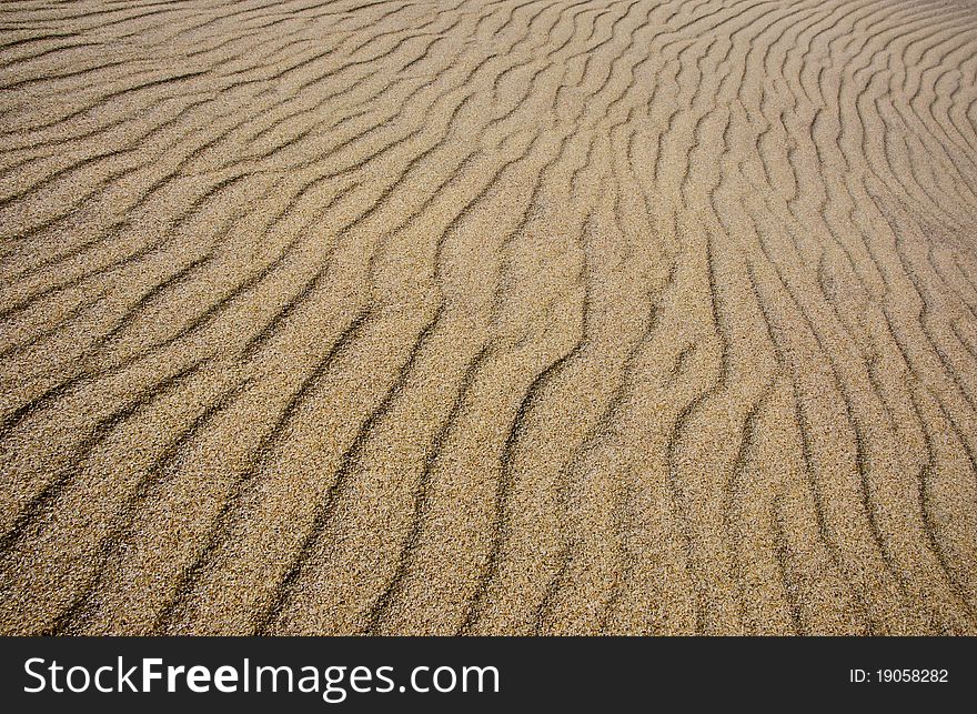 Texture of sand with wind lines. Texture of sand with wind lines