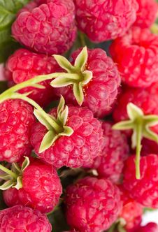 Ripe Raspberries Stock Image