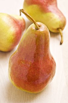Ripe Pear In Autumn Colors Royalty Free Stock Photography Ripe Pear In Autumn Colors Royalty Free Stock Photography
