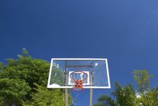Basketball Stock Photos