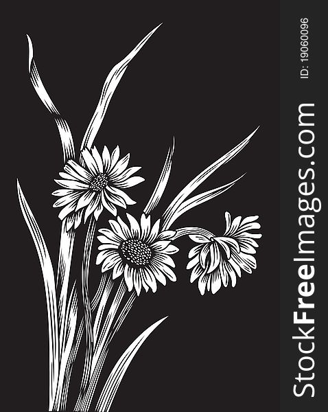 Vector illustration of black and white flowers