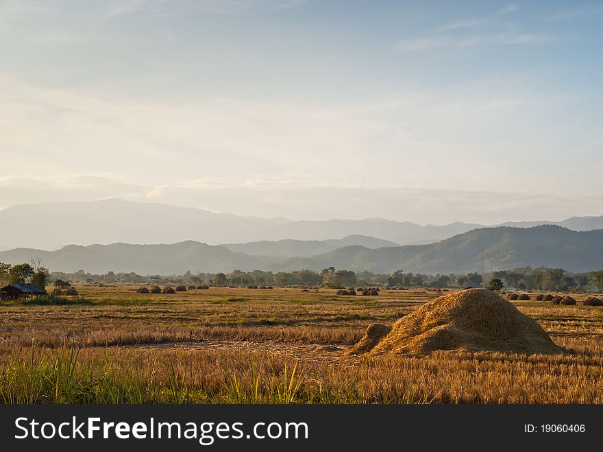 Scenery of paddy and mountain in the Northern of Thailand. Scenery of paddy and mountain in the Northern of Thailand