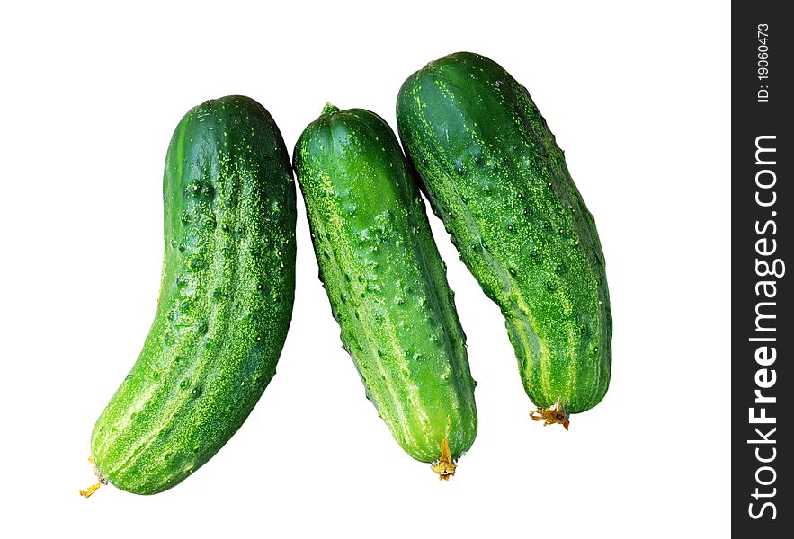 Tree cucumbers isolated on a white background. Tree cucumbers isolated on a white background