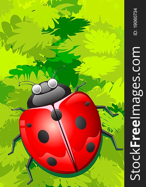 Illustration of lady bug sitting on bunch of leaves. Illustration of lady bug sitting on bunch of leaves