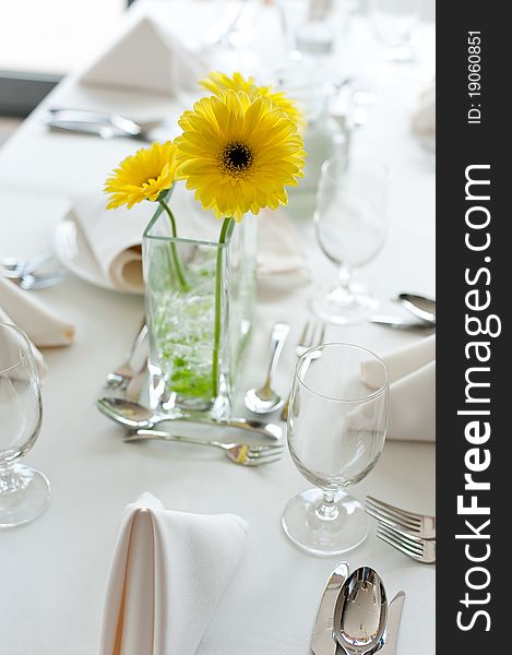 Gerbera daisy flowers on the table