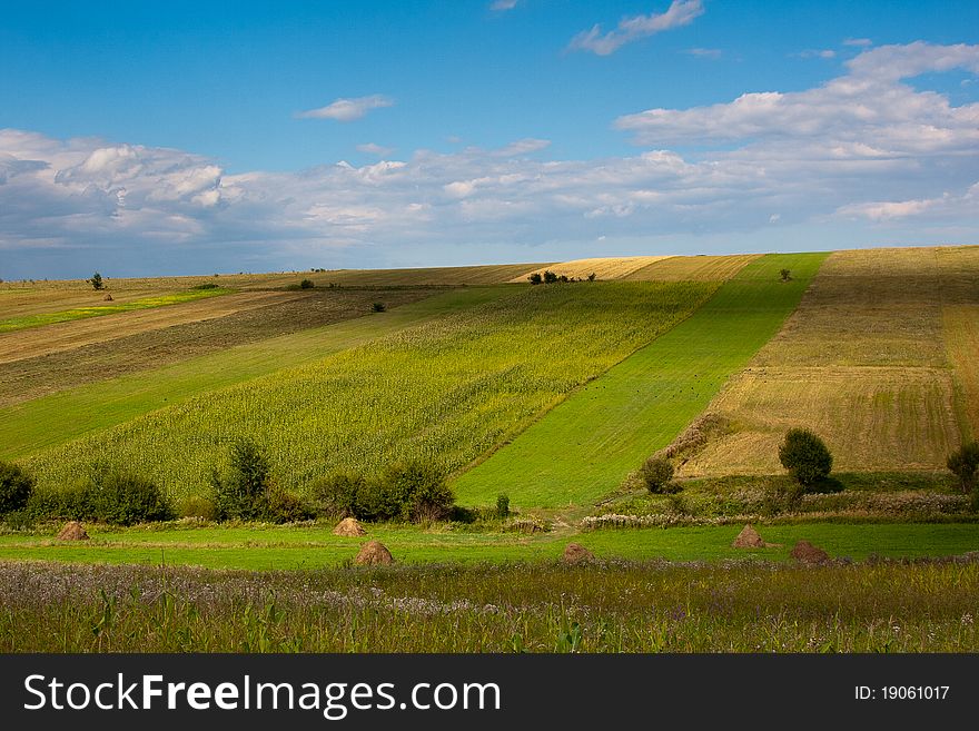Summer landscape with green cultivated fields and blue sky, from Bukovina, Romania