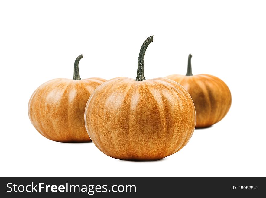 Pumpkin isolated on white background