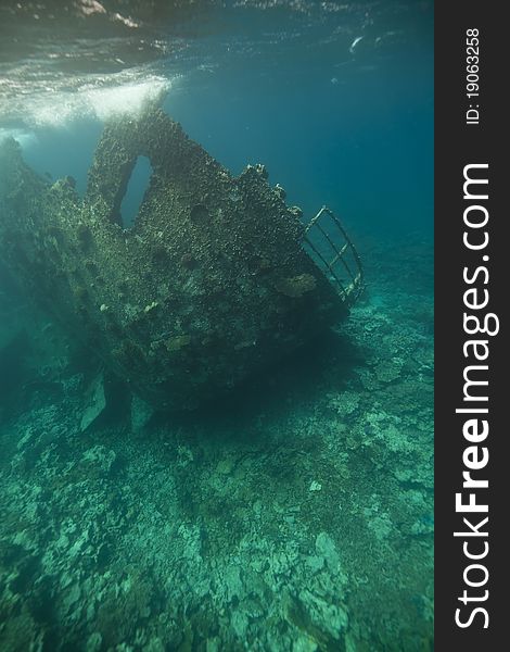Wreck of the Kormoran in the strait of Tiran.