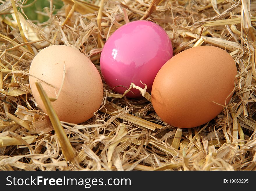 Three chicken eggs lay on some hay as if they have just been laid. one if the eggs has an easter feel to it. Three chicken eggs lay on some hay as if they have just been laid. one if the eggs has an easter feel to it