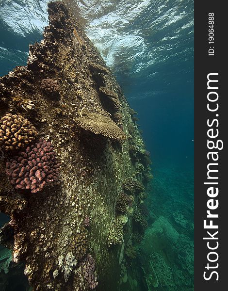 The Kormoran and underwater scenery in the Red Sea. The Kormoran and underwater scenery in the Red Sea