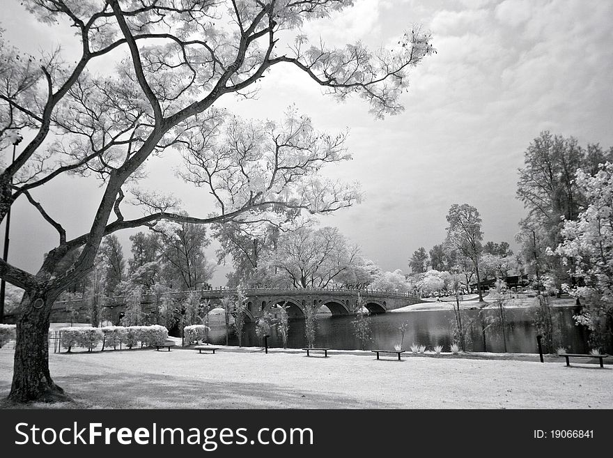 Landscape of Chinese Garden in Singapore. Landscape of Chinese Garden in Singapore