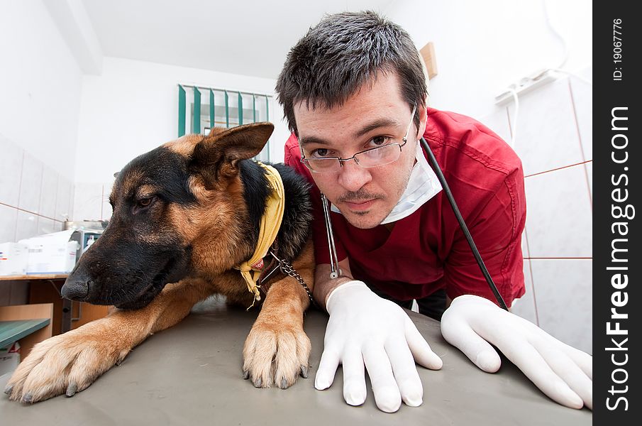 Funny Vet With Dog