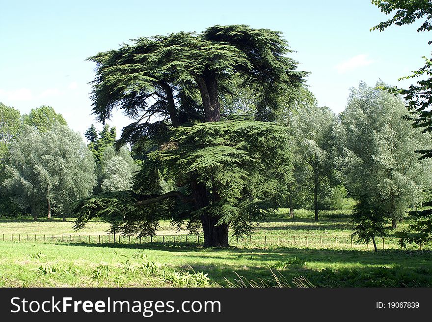 Blenheim Palace. Garden.