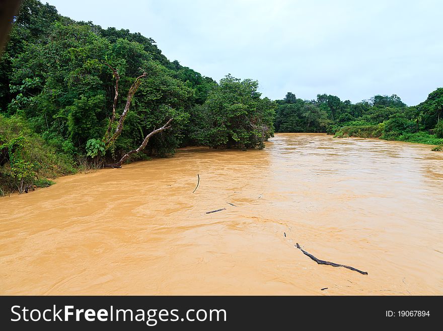 Brown river in the jungle of Malaysia