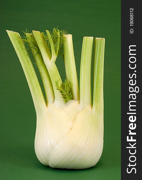 Fennel in the foreground on a green background