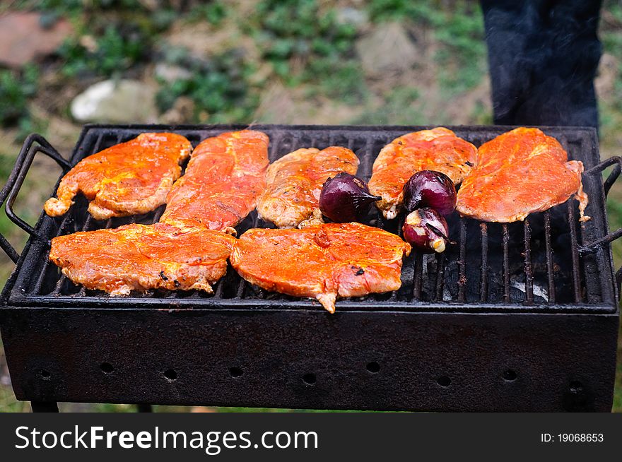 Barbecue with pork meat and onion. Barbecue with pork meat and onion