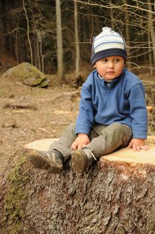 Boy On Stump Stock Image Boy On Stump Stock Image