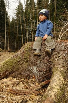 Child On Stump Stock Images Child On Stump Stock Images