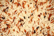 Unpolished Raw Rice Stock Photos Unpolished Raw Rice Stock Photos