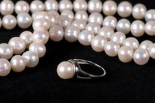 Pearl Royalty Free Stock Images