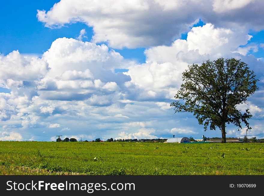 Landscape With Clouds And A Tree