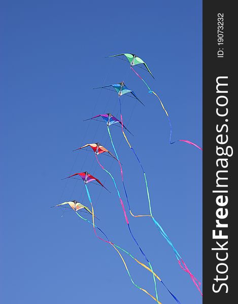 Kites against a vivid blue sky