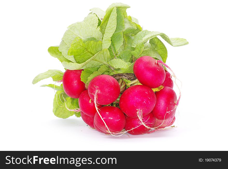 Fresh radishes on a white background