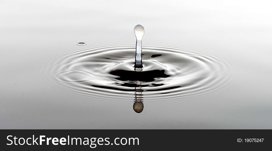 A drop ripples through the otherwise tranquil water. A drop ripples through the otherwise tranquil water