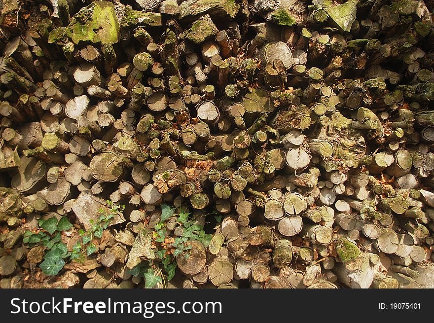 Pile of wood for fire. Pile of wood for fire