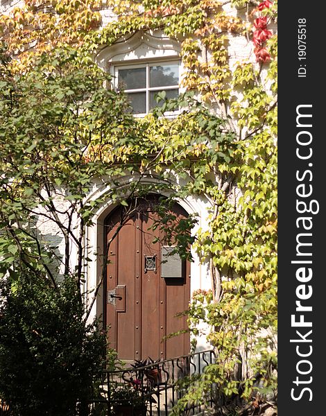 Ivy covered door of traditional building in Munich, Germany