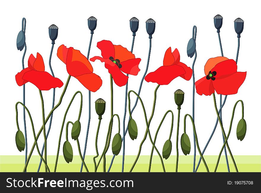 Group of stylized field poppies.