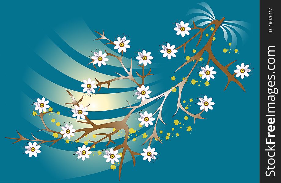 White flowers blooming branch on blue background.Background.Wallpaper. White flowers blooming branch on blue background.Background.Wallpaper.